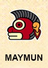 Öz Burcun: Maymun